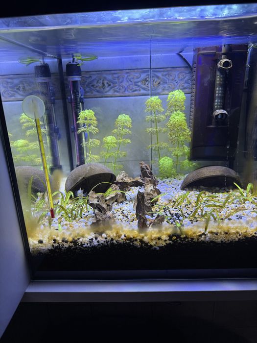 Aquario 42l completo