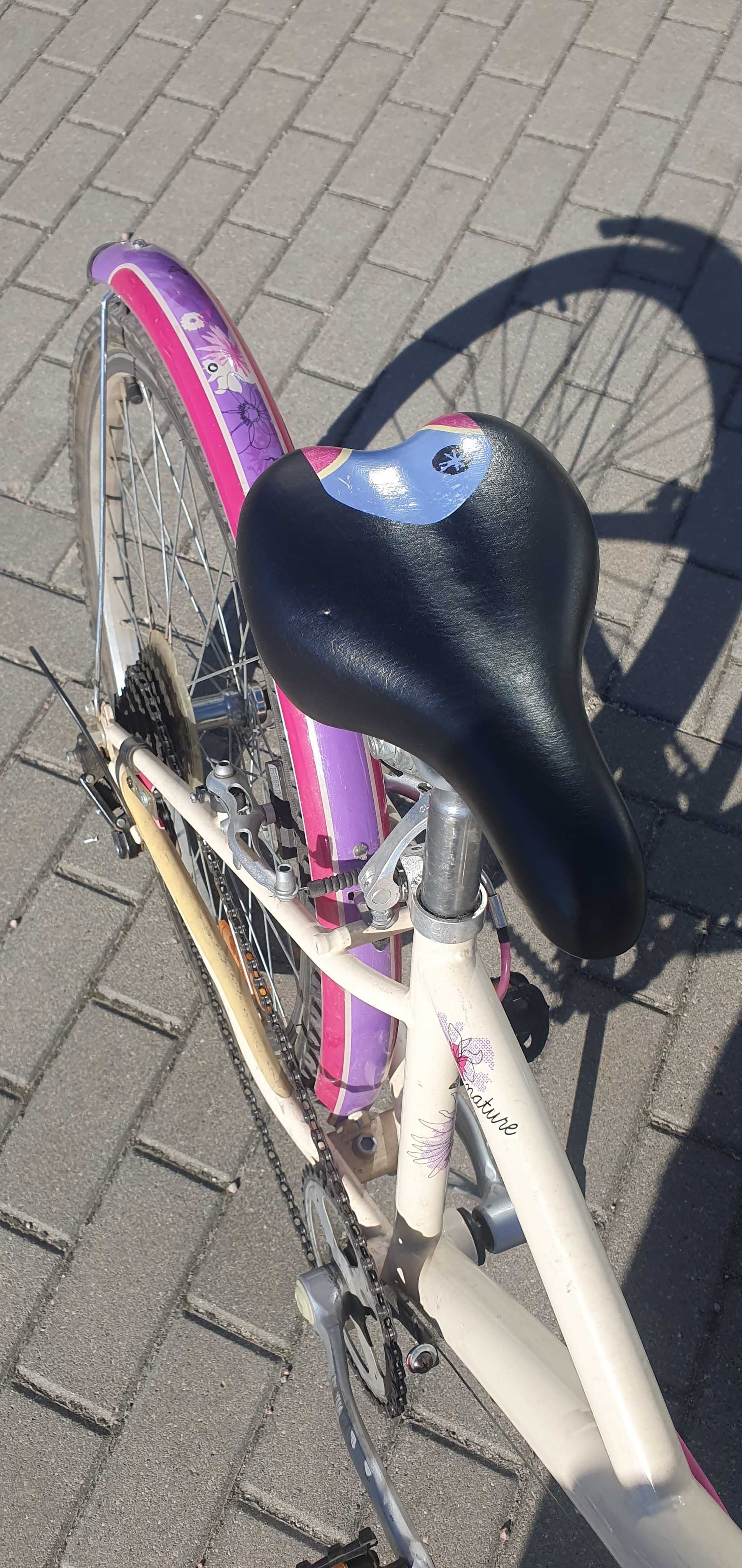 Rower Nature 24 Btwin.