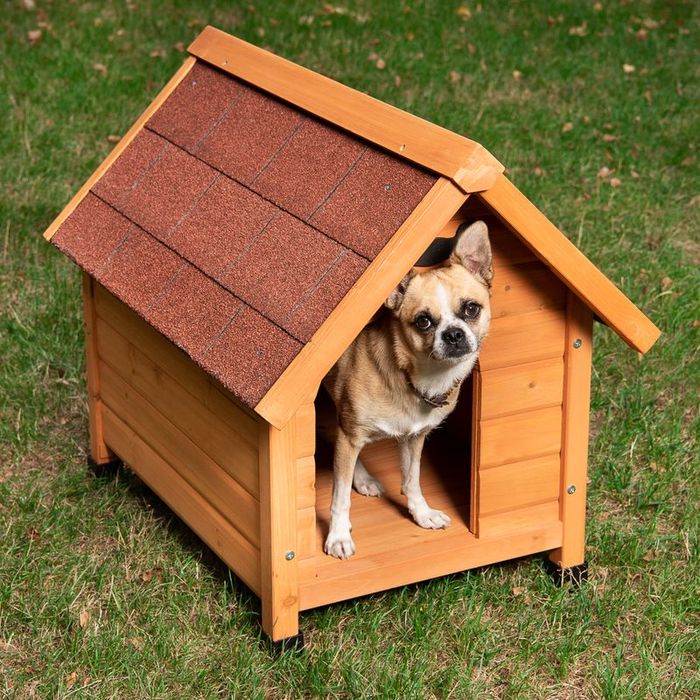 Buda dla Psa Spike Classic S 77x54x67 MAŁA Jamnik Jack Russell Terrier