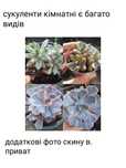 Сукуленти на будь яку ціну