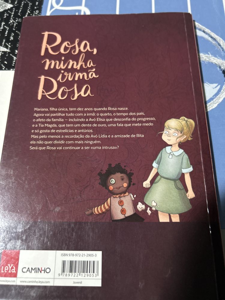 Rosa minha irmã Rosa plano nacional de leitura