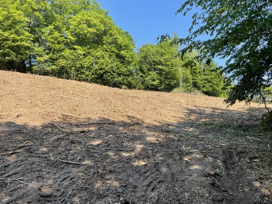 Mulczowanie karczowanie wycinka czyszczenie działek