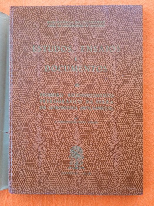 Primeiro Reconhecimento Petrográfico da Serra da Gorongosa