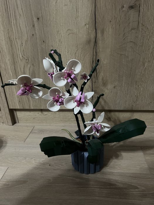 Lego orchidea, kwiat