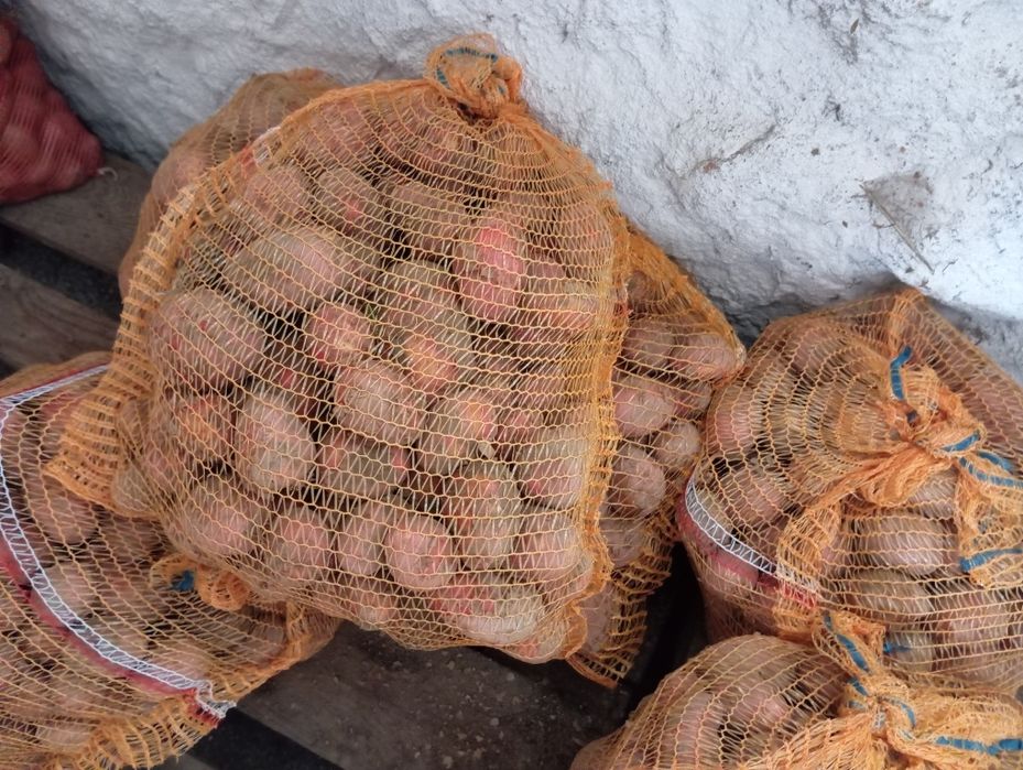 Ziemniaki  redsonia lawenda lili