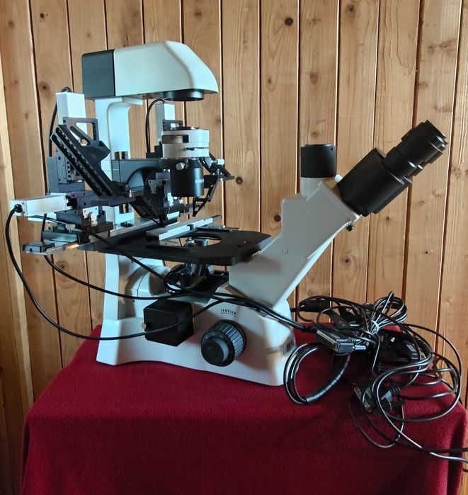 Motic AE31 mikroskop odwrócony z nanomanipulatorem in vitro i kamerami