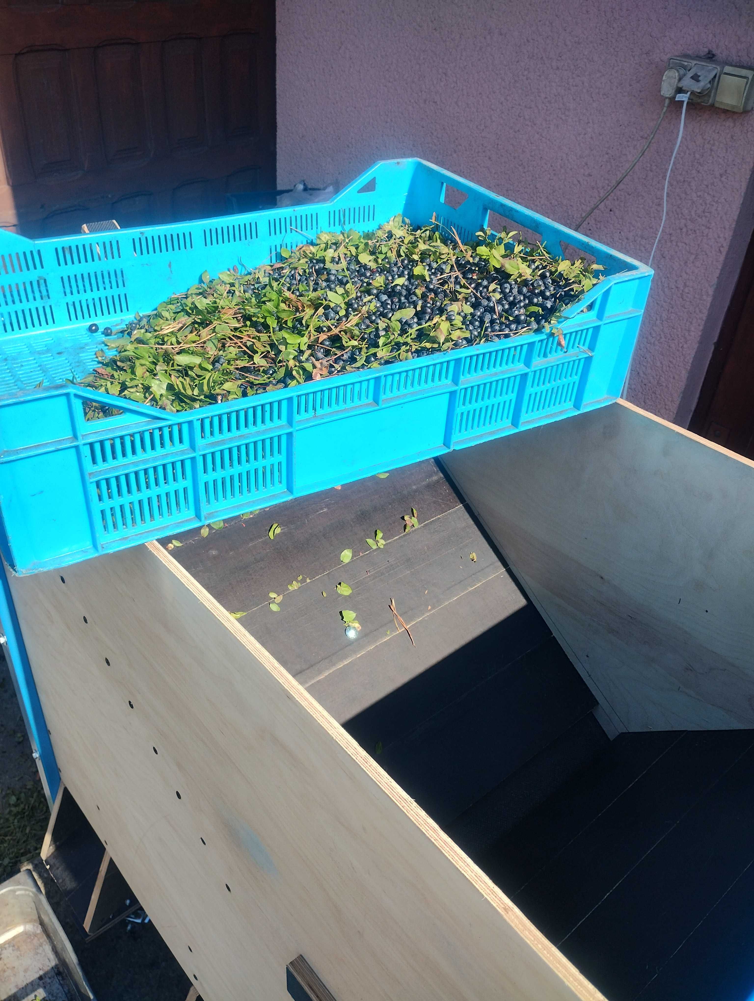 Wialnia do jagód leśnych OD PRODUCENTA do czyszczenia jagód, żurawiny