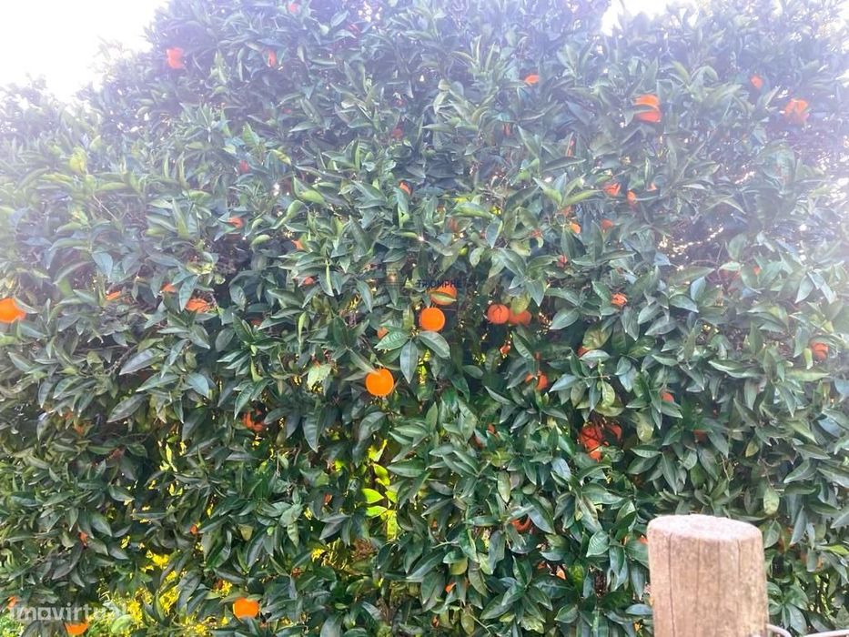 Terreno 11.220m2 com 240m2 Urbano e Armazém, Arão, Portimão