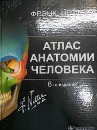 Атлас анатомии человека Ф Неттер 6-е издание (на русском+латынь)