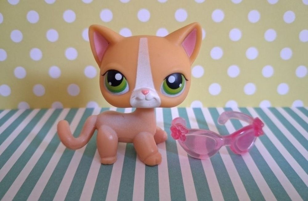 Littlest Pet Shop LPS unikatowy kot Shorthair #72 pop