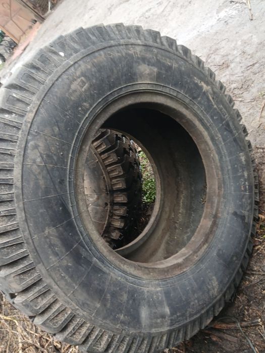 Продам Шини 15.5×65×18р.