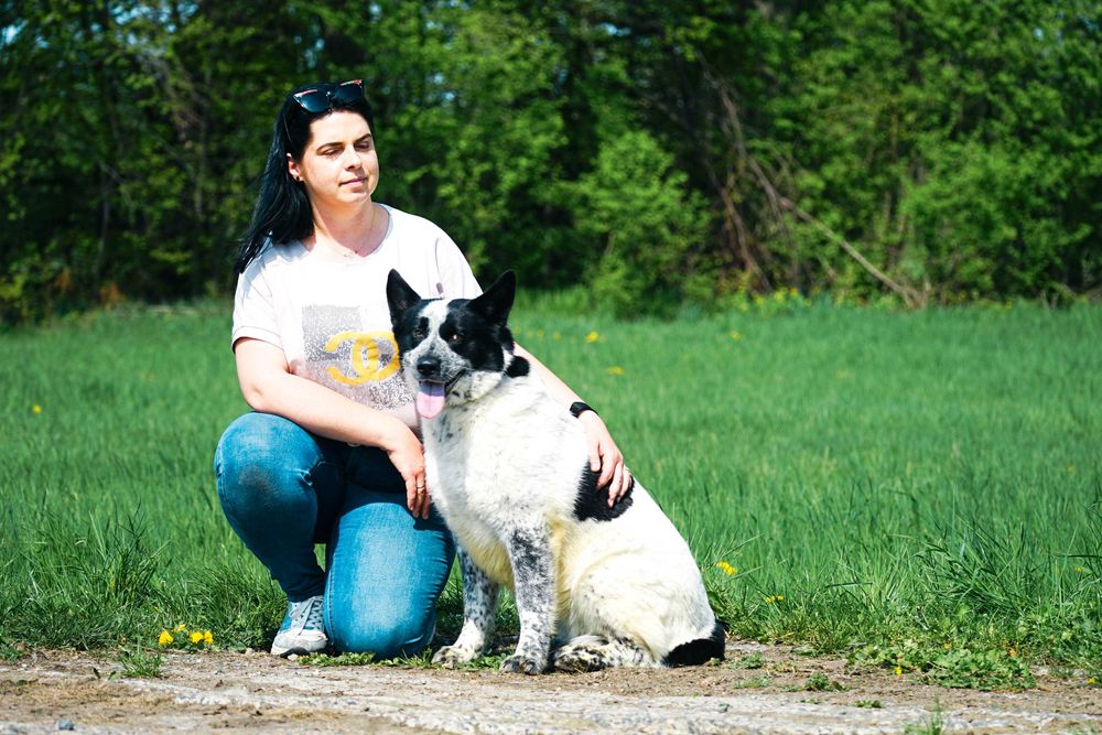 FALA - przepiękna sunia