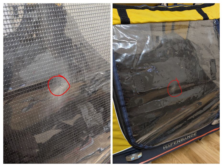 Hafenbande Przyczepka Rowerowa Jogger 2w1 Cabby L dla Psa do 45Kg DUŻA