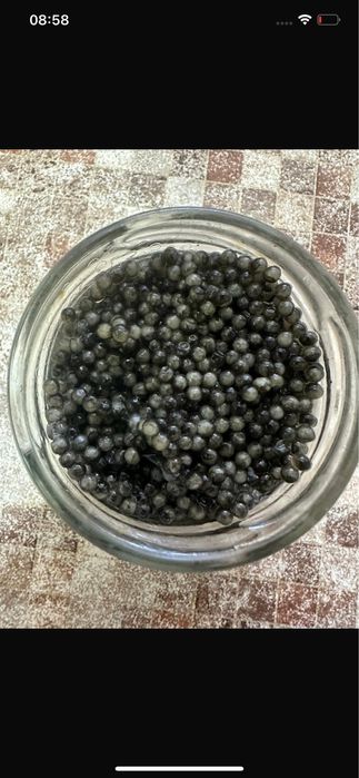 Черная икра белуга