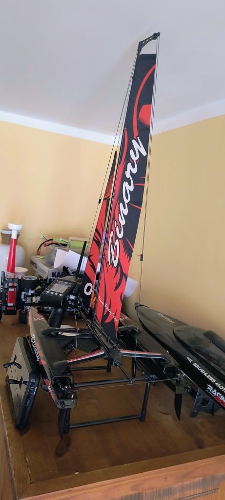 Katamaran RC amewi binary v2