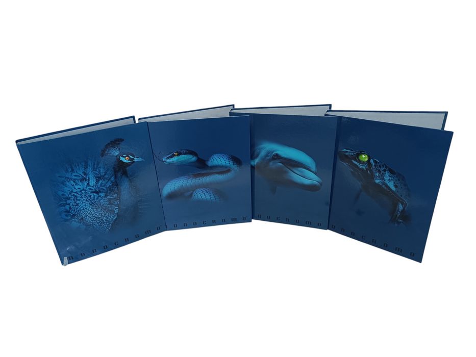 Segregator A4 Monocromo Blue do szkoły i biura