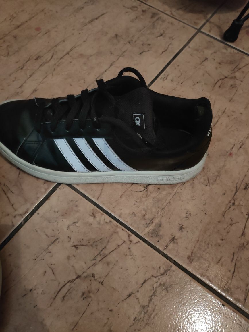 buty damskie marki Adidas