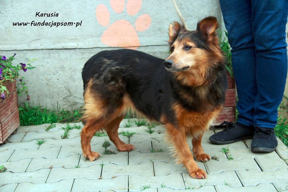 Karusia - delikatna suczka