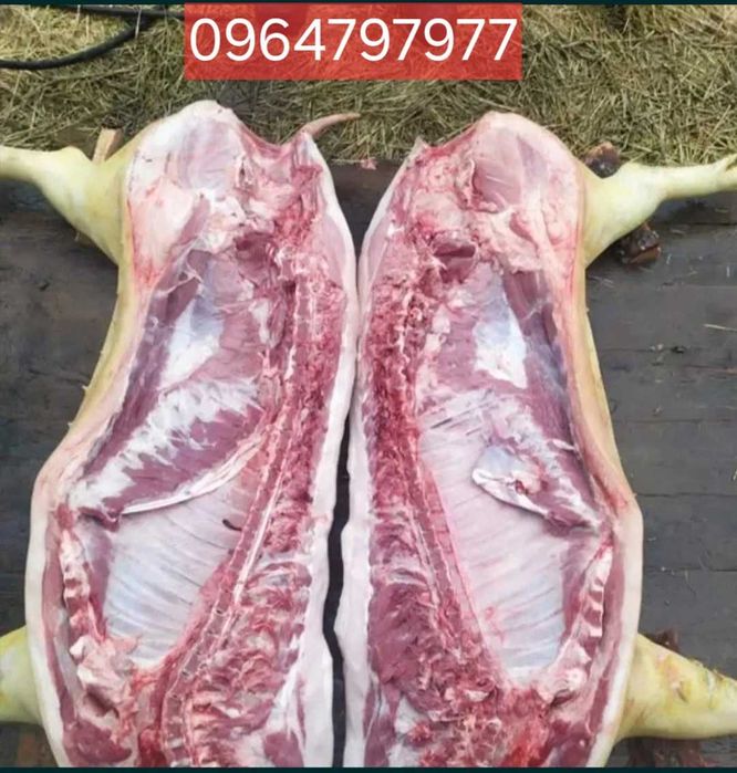 Свинина напродаж