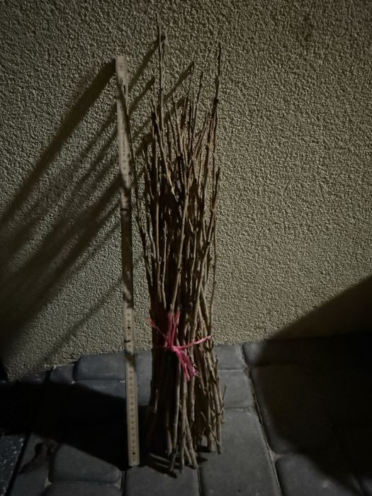 Patyki na sztobry Bengairn