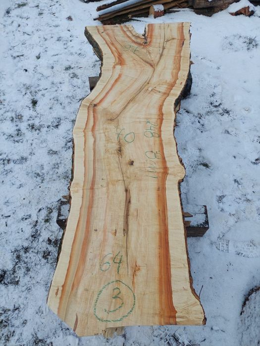 Plastry Dębowe Robinia i Wiele innych