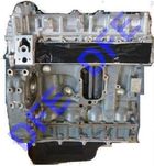 Silnik „long blok” do Iveco Daily 3,0L Euro 5 F1CGL411H/J/K