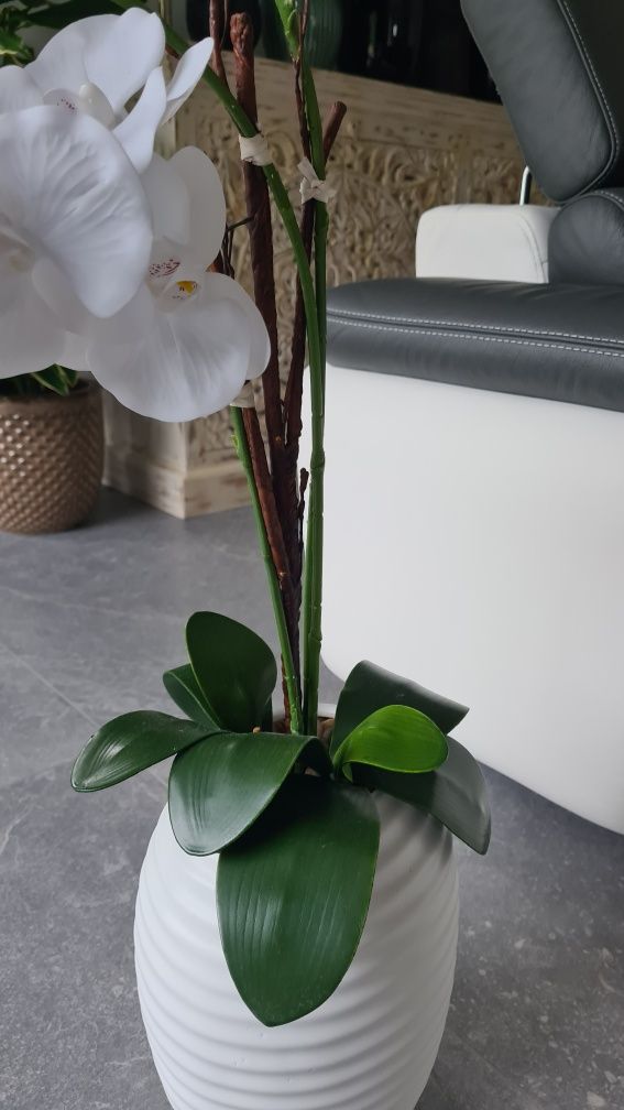 Magnolia Home&you