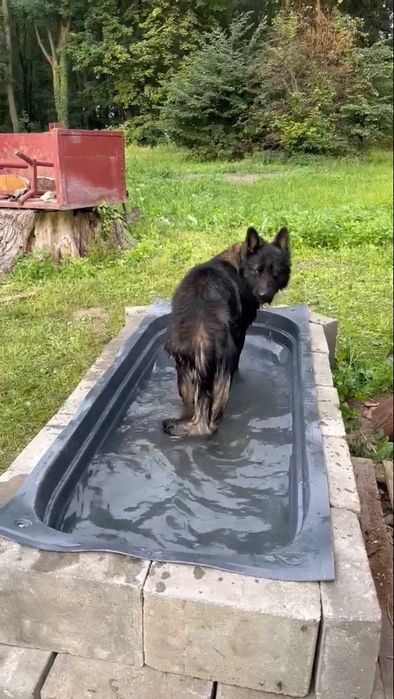 Wytłoczki po boxach dachowych osłona zimowa na grządki
