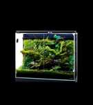 Dooa system paluda 300/600 paludarium ADA, akwarium roślinne pełny set