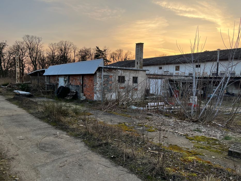 Sprzedam Nieruchomość były PGR