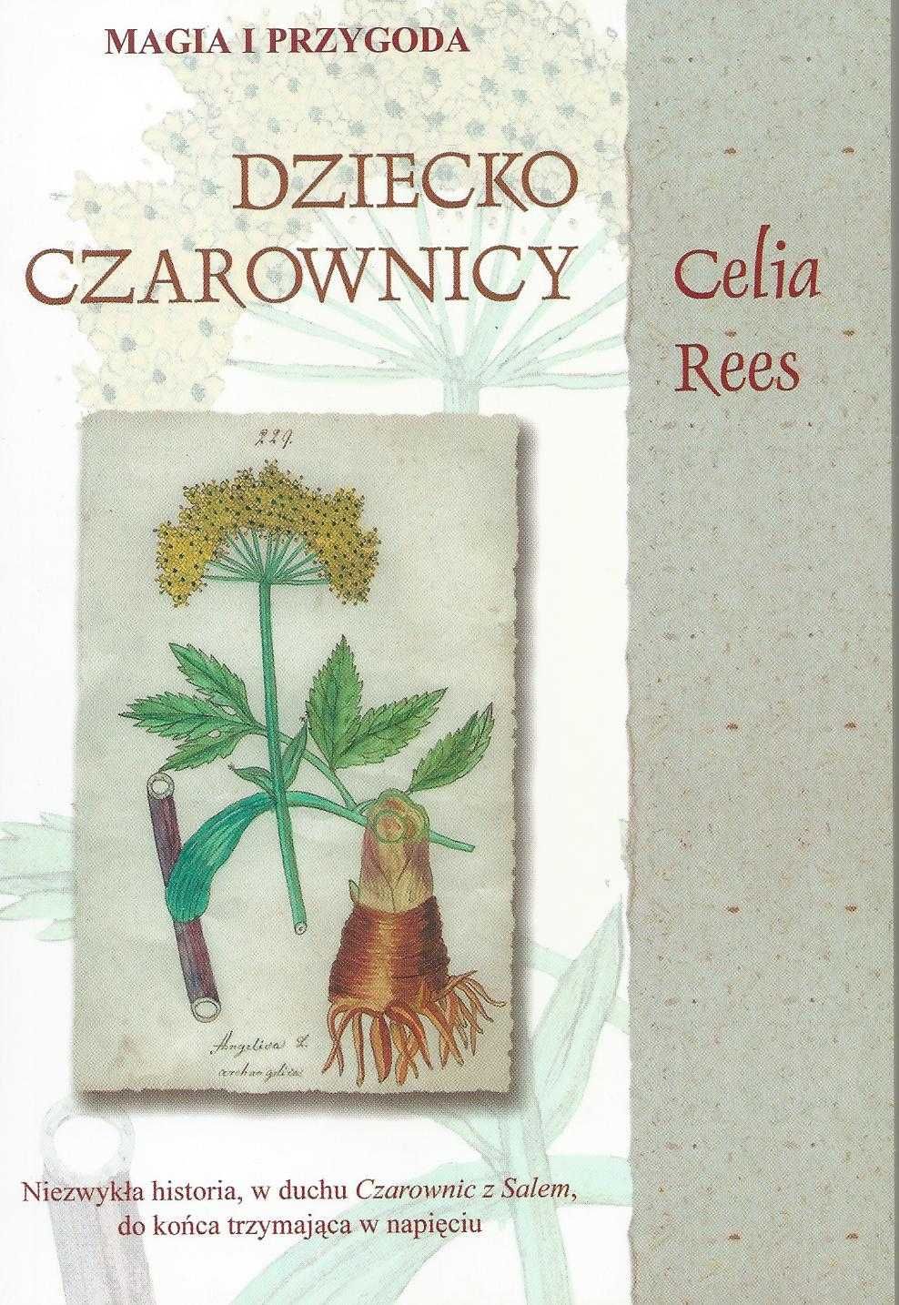 Dziecko Czarownicy, Celia Rees, Powieść