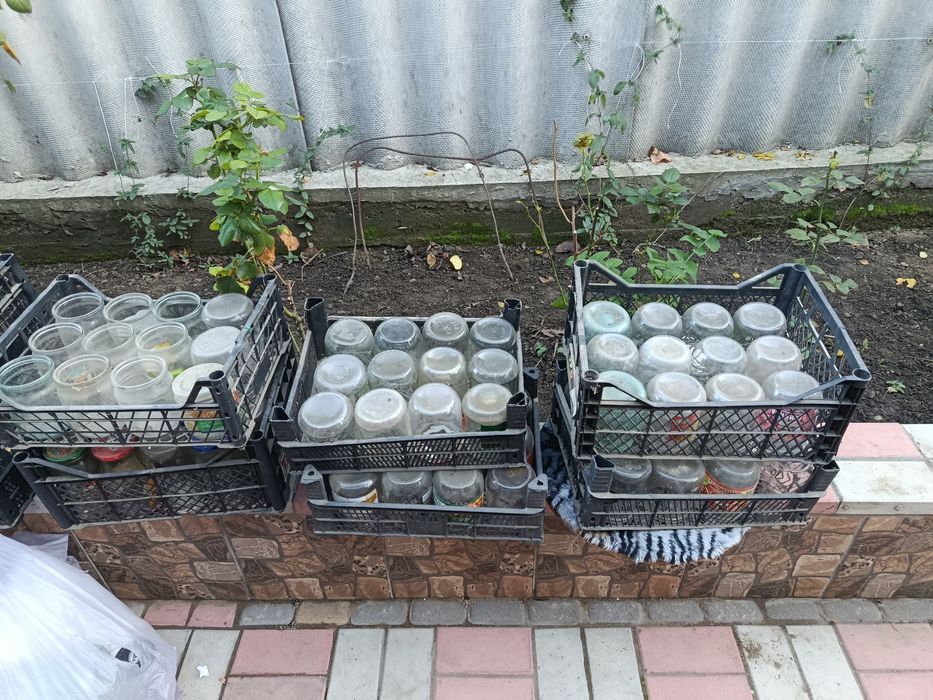 Продам банки 0.5 и 1 литр