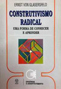 Construtivismo Radical