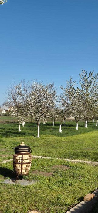Продаж.Будинок, Завжди єсть світло з ремонтом с. Дубіївка Центр