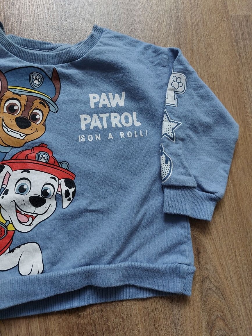 Bluza dresowa psi patrol 92