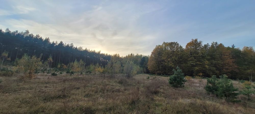 Działka przemysłowa-rolna