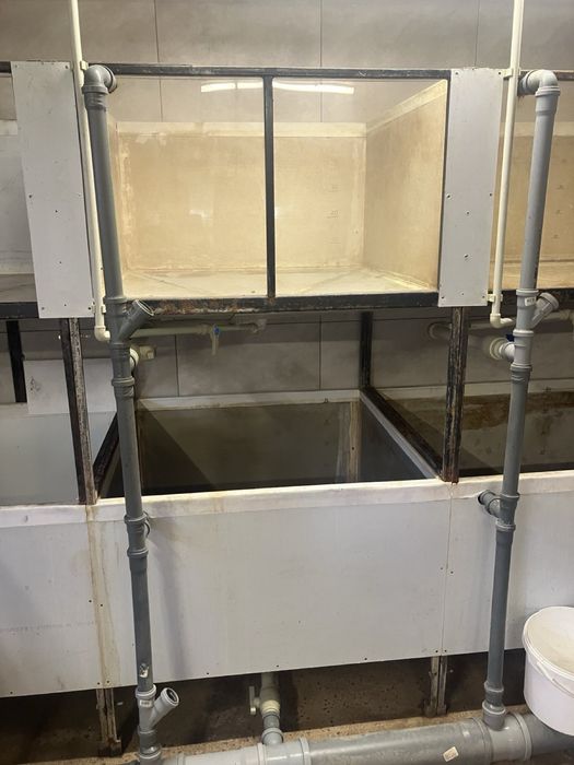 Ємність для вирощування риб,раків,креветок.Б/У Розпродаж