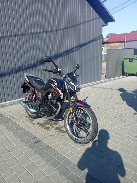 musstang fortuna 200