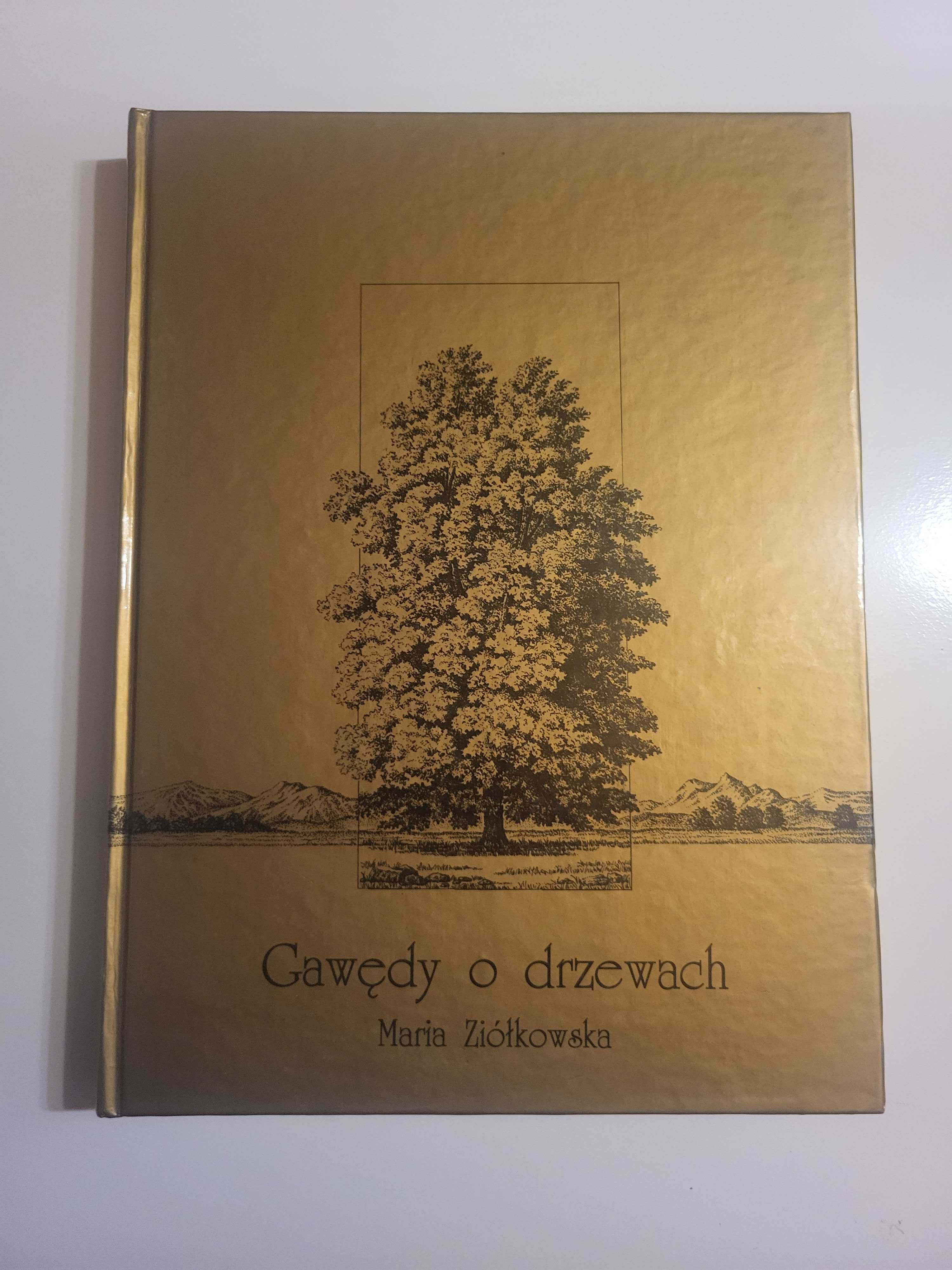 Gawędy o drzewach Maria Ziółkowska