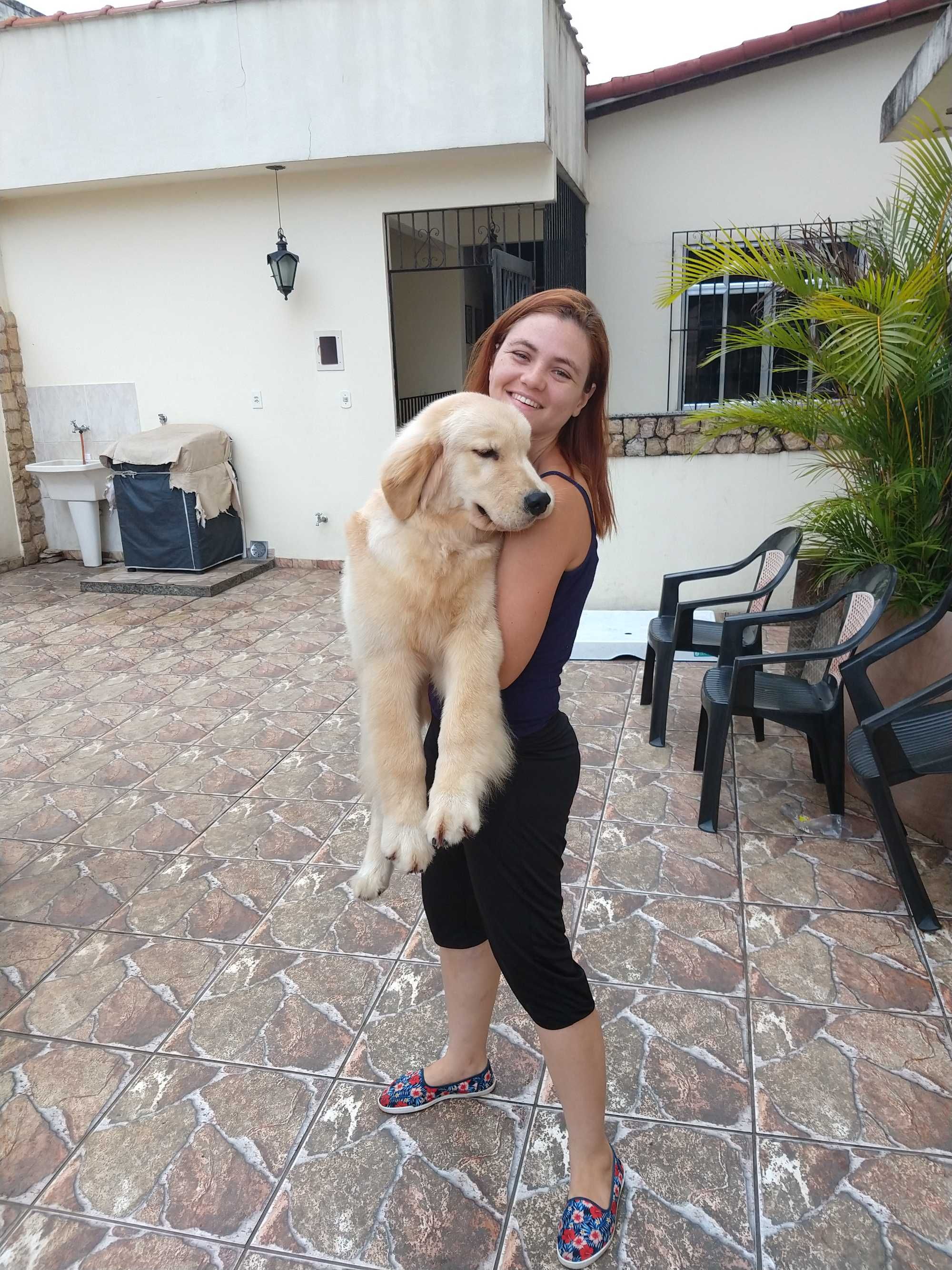 Pet Sitter, banho e tosquia em domicílio, passeio com o seu cão