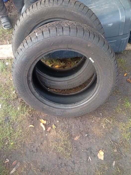 Продам пару зимової ризини