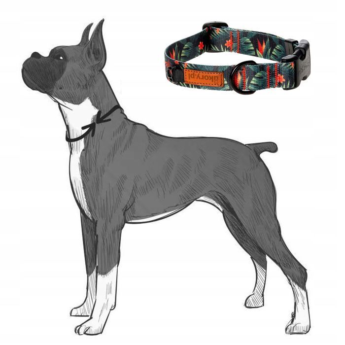 regulowana obroża dla psa kundelka beagle s/m 20 mm  zielona we wzory