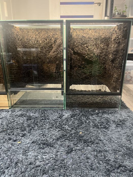 Terrarium 40x40x60 dla gekon jaszczurka wąż