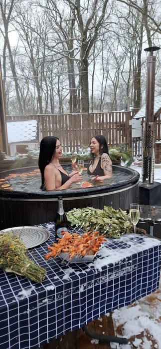 Аренда бани и чана.