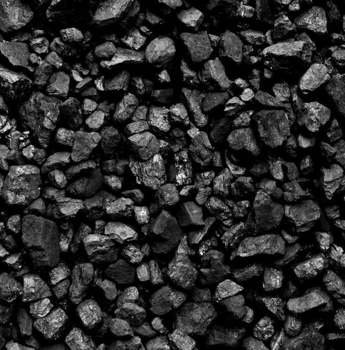 Вугілля, брикети RUF, PINI KAY, NESTRO— вигідна ціна і швидка доставка