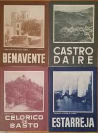 Mapas Rotep - Benavente, Castro Daire, Celorico de Basto, Estarreja