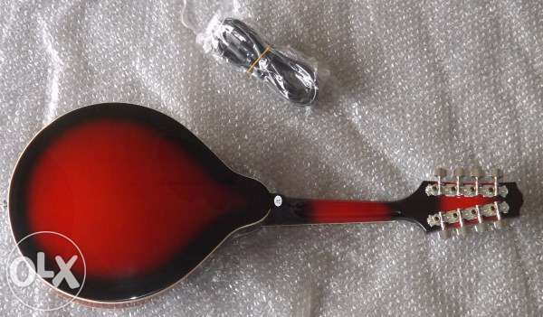 Bandolim elétrico bluegrass novo de qualidade