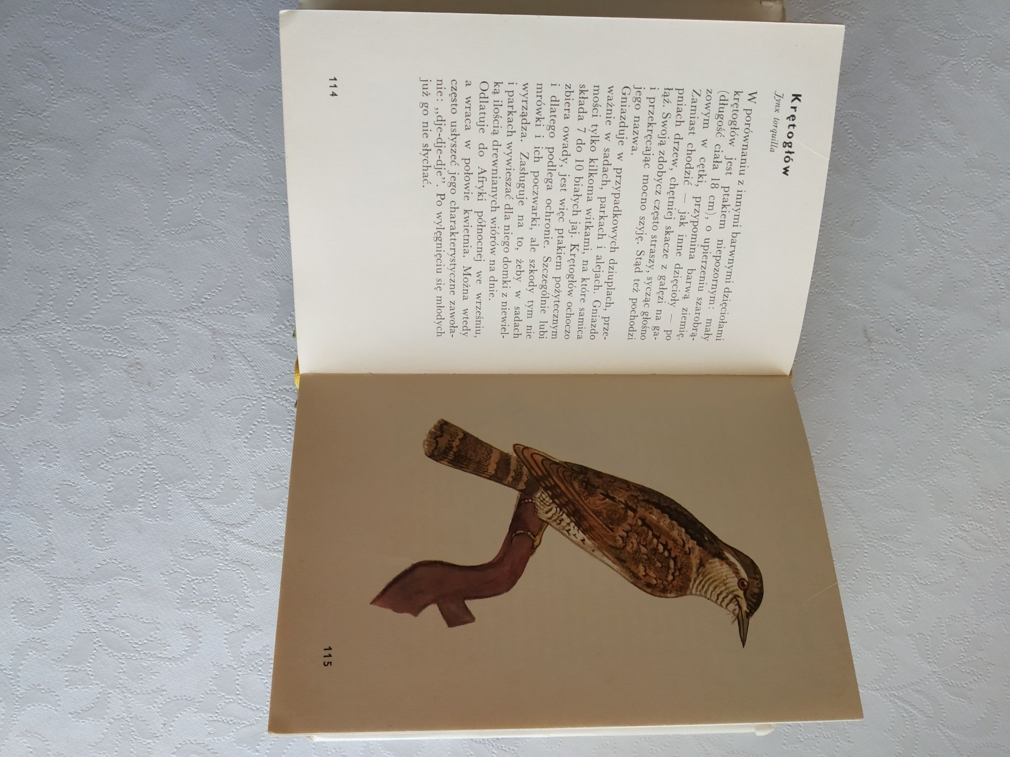 Mały atlas ptaków wydanie z 1971 r.