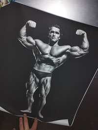 NOWY plakat siłownia 30x40 zł duży Arnold Schwarzenegger Coleman na