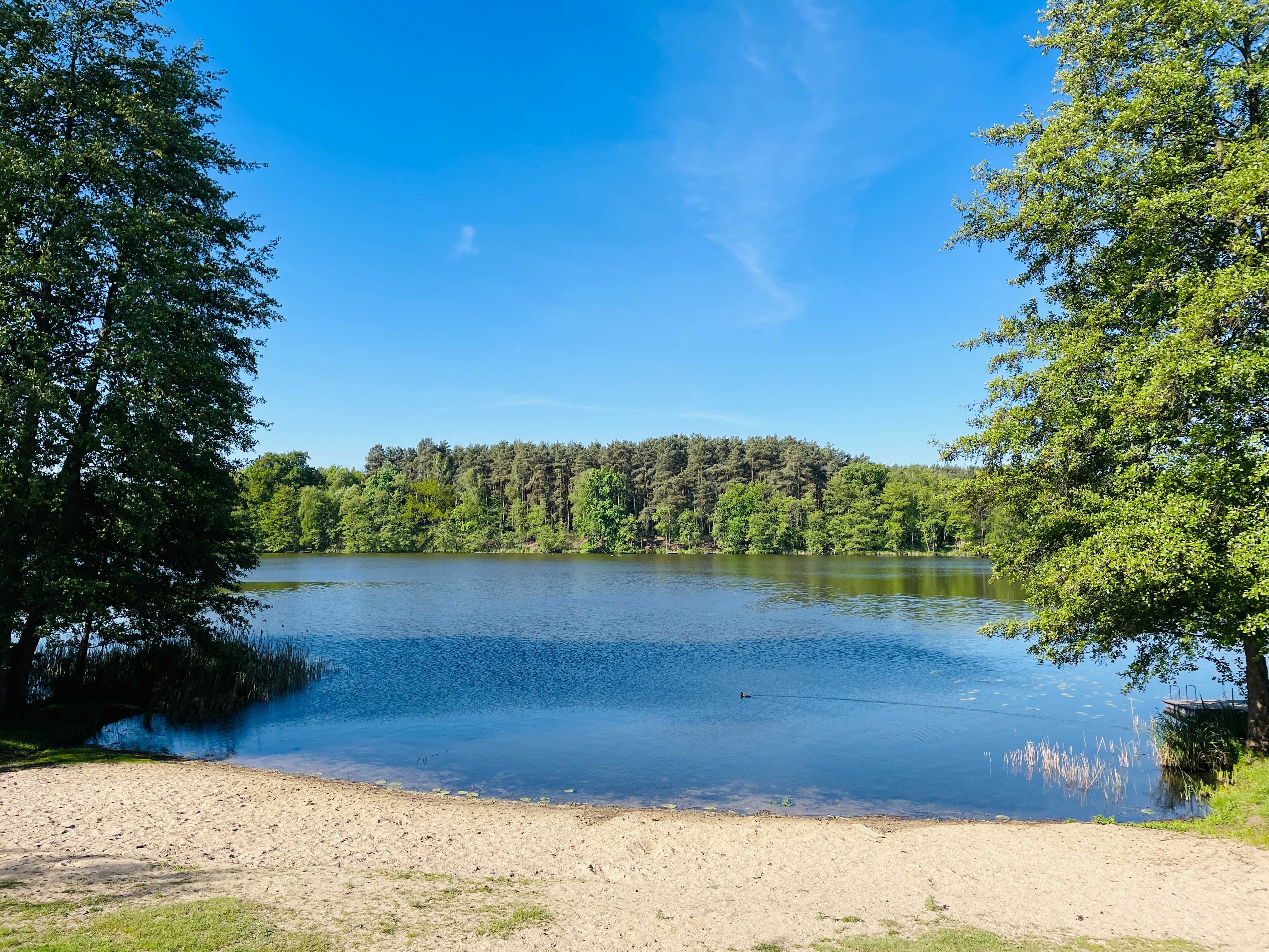 Domek na wynajem nad jeziorem 6 osób noclegi Radzyń - Sława